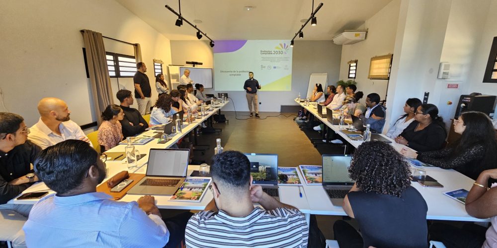 « Stagiaires experts-comptables et commissaires aux comptes en formation immersive au Dina Morgabine – jeux de rôles, études de cas et échanges autour de l’éthique et des missions comptables. »